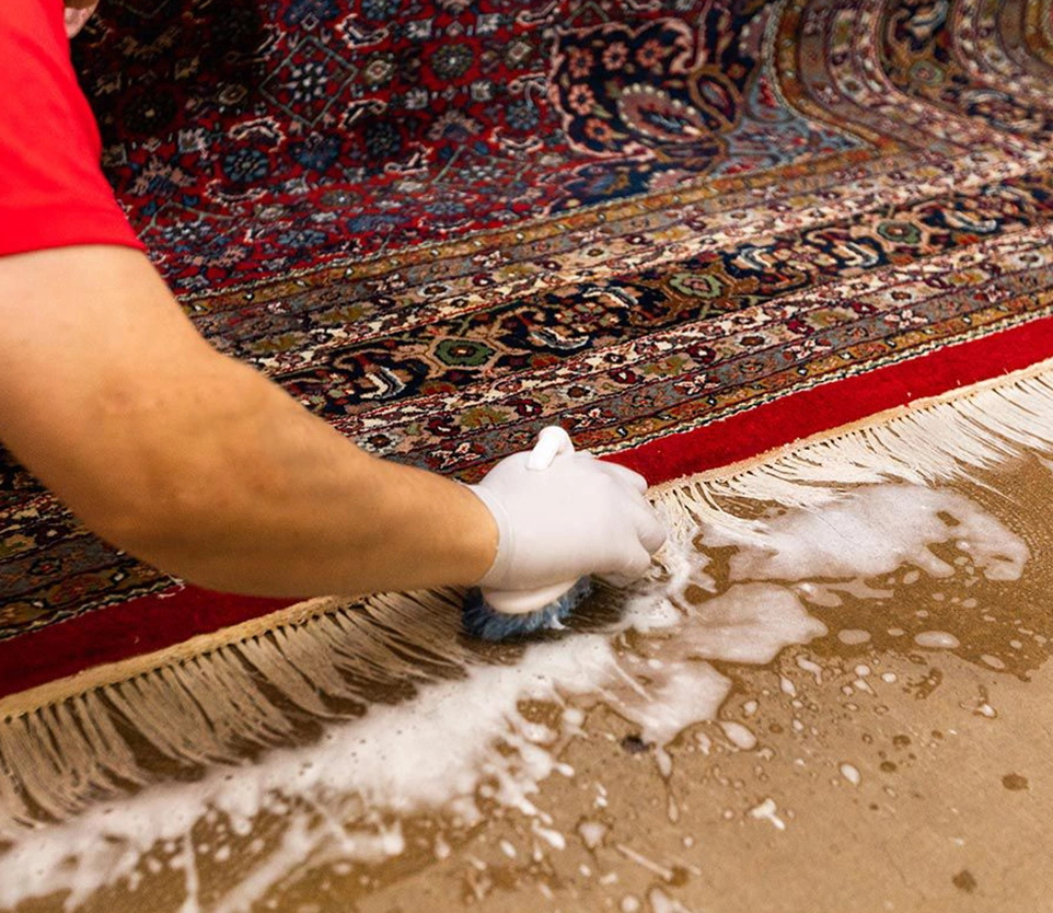 Area Rug Cleaning Services