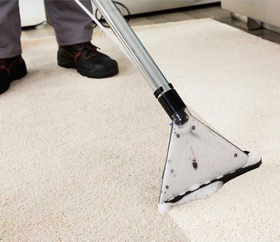 Importance Of Carpet Care