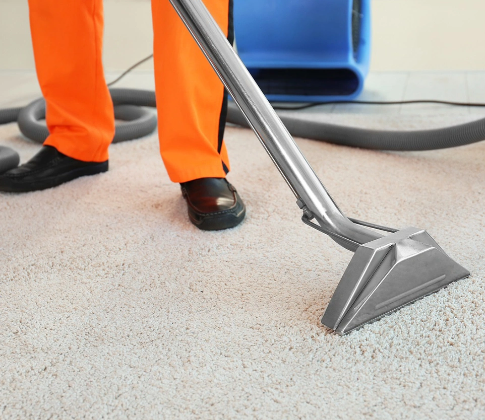 Importance Of Regular Cleaning in Los Angeles