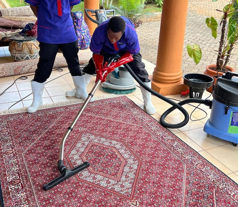 Rug Stains And Odor Removal in Los Angeles 962x834